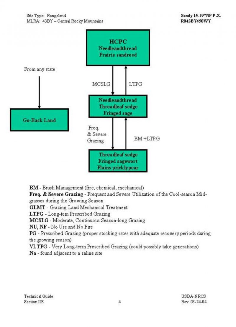 Model diagram