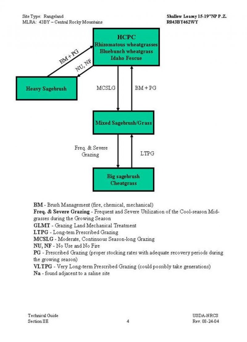 Model diagram