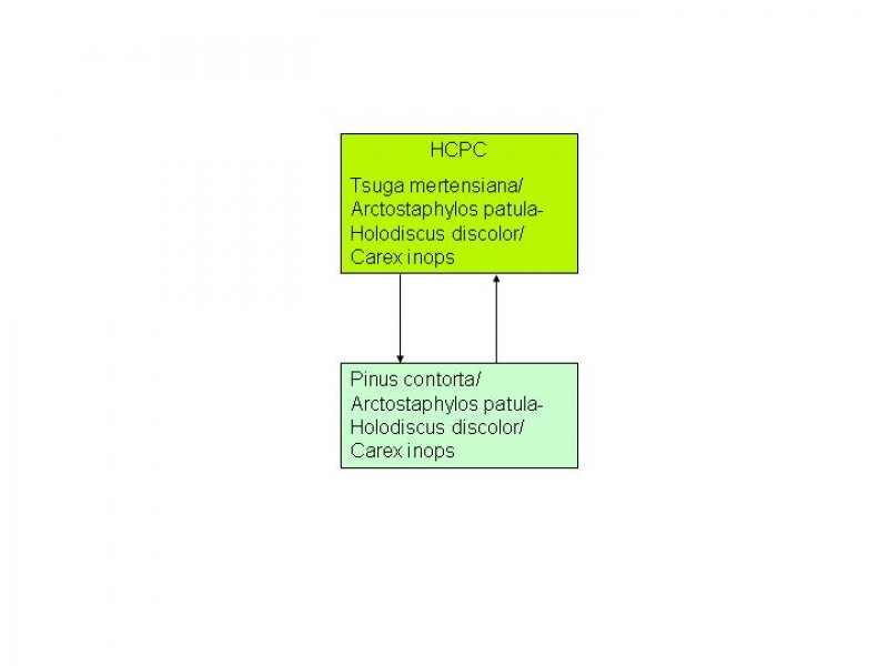 Model diagram