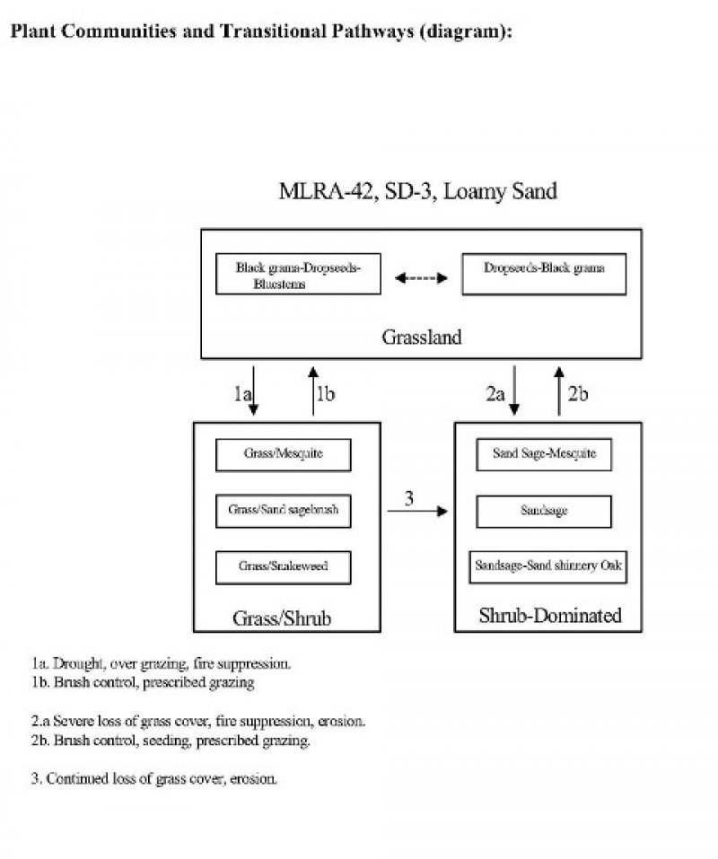 Model diagram