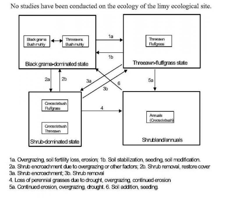 Model diagram