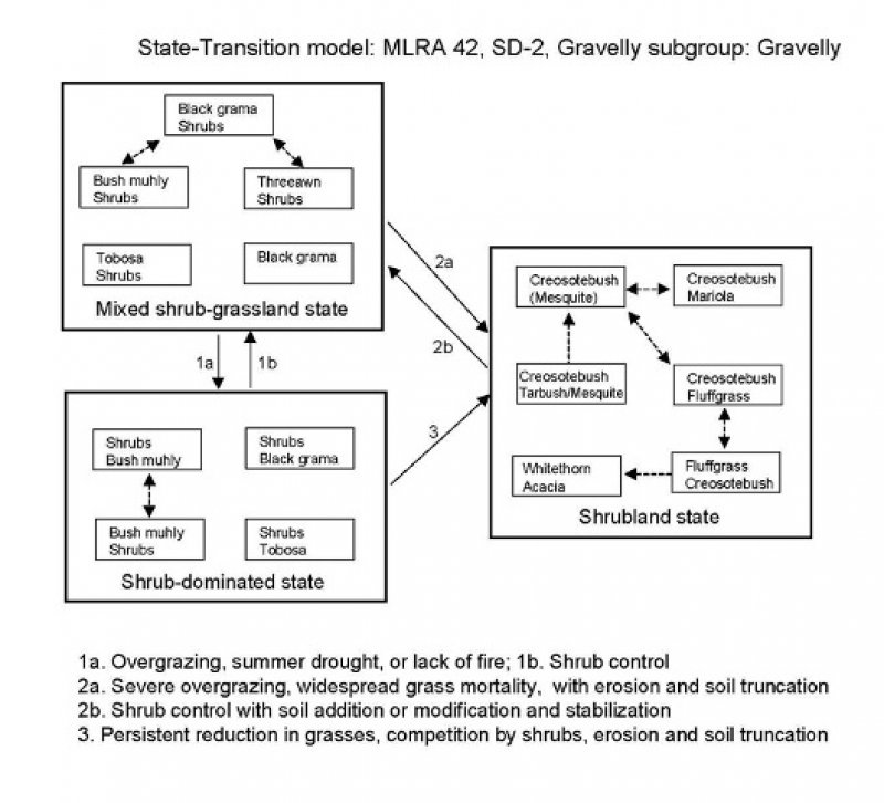 Model diagram