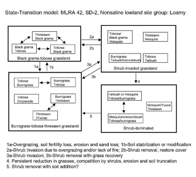 Model diagram