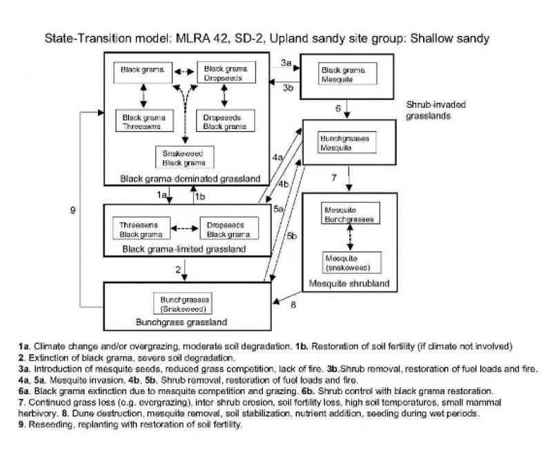 Model diagram