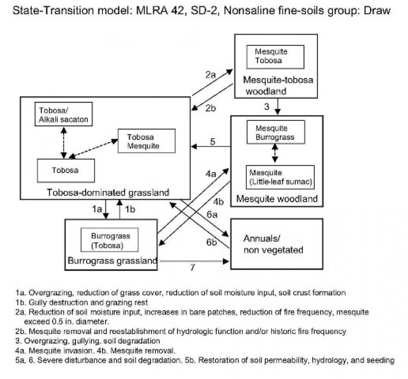 Model diagram