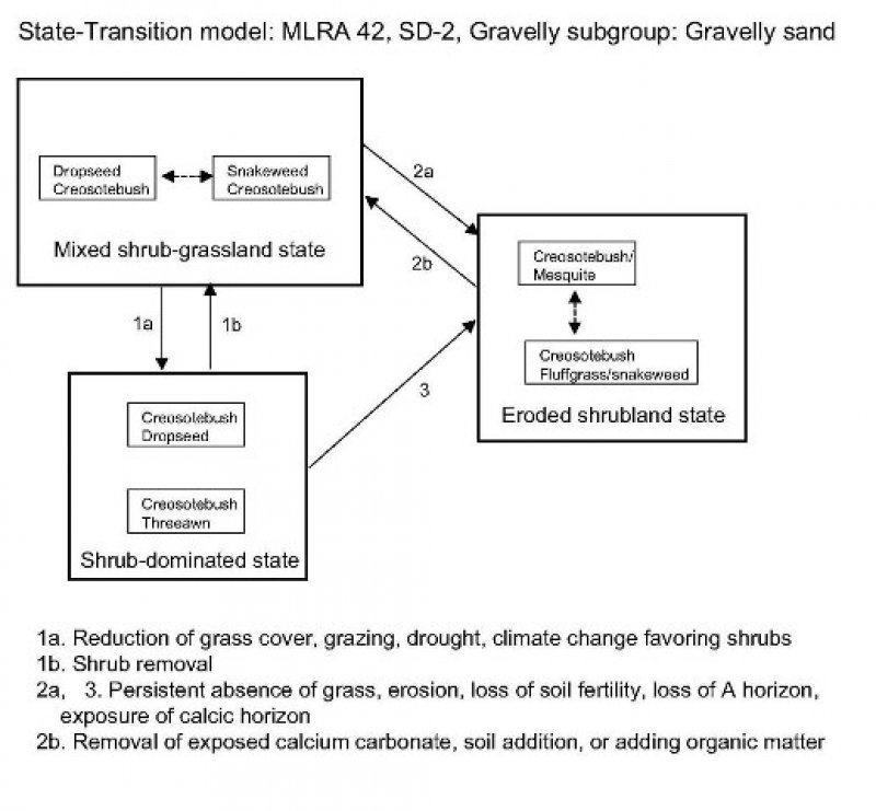 Model diagram