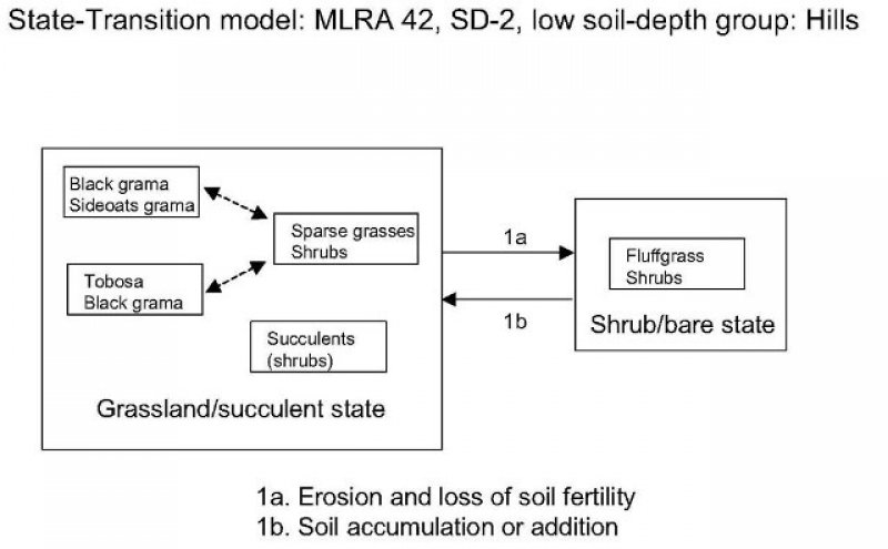 Model diagram