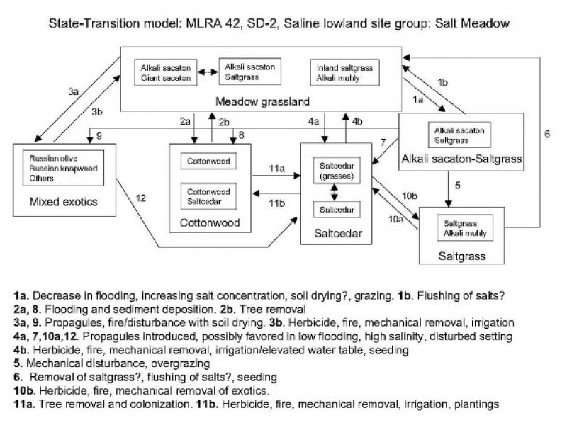 Model diagram