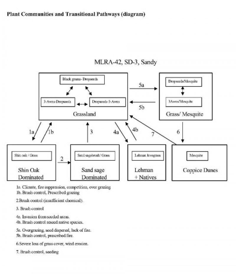 Model diagram