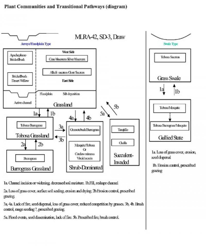 Model diagram
