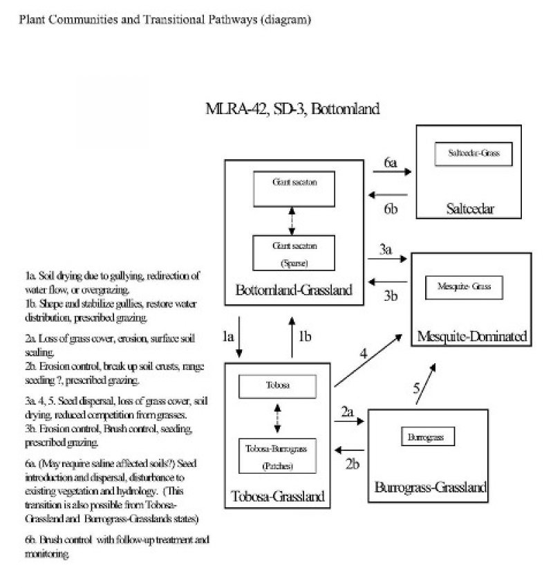 Model diagram