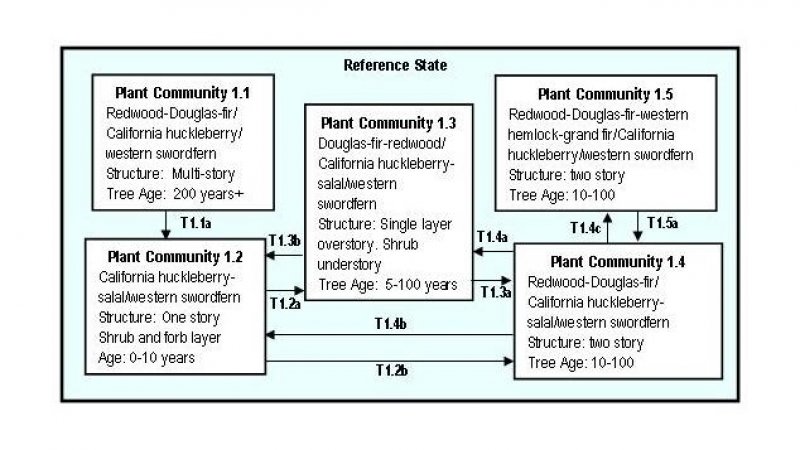 Model diagram
