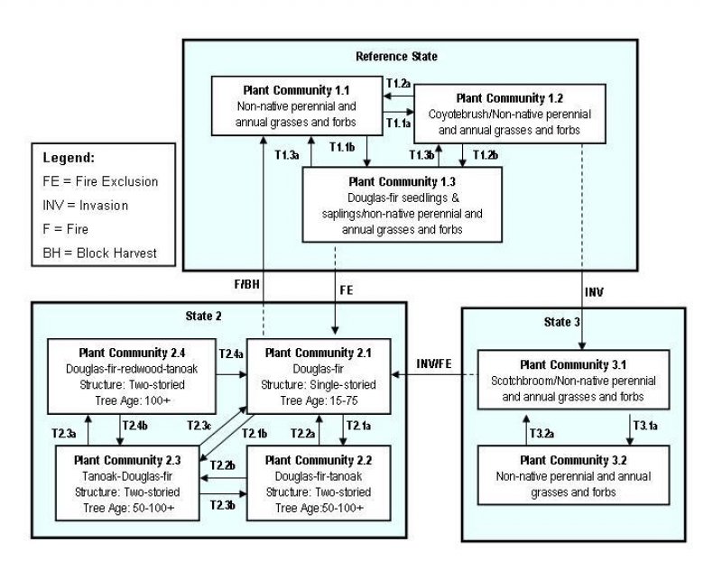 Model diagram