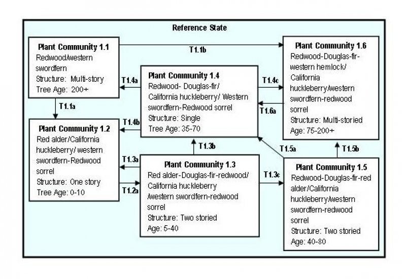 Model diagram