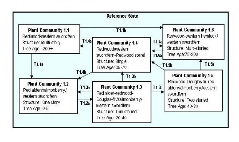 Model diagram