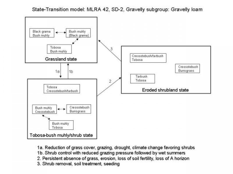 Model diagram