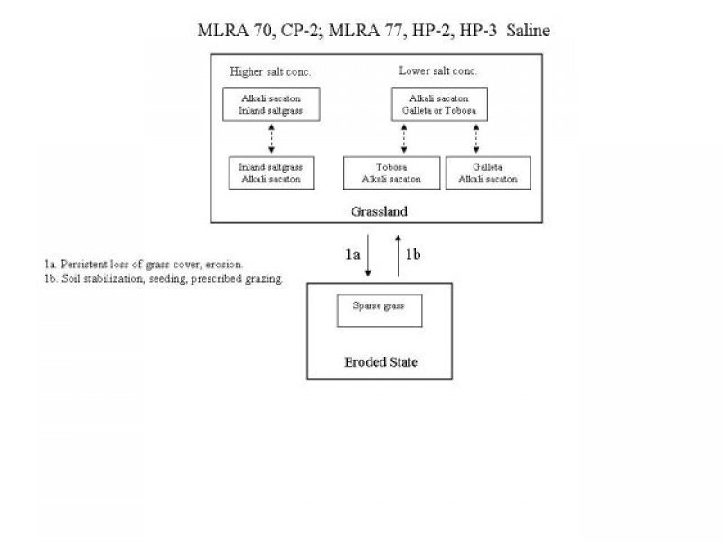 Model diagram