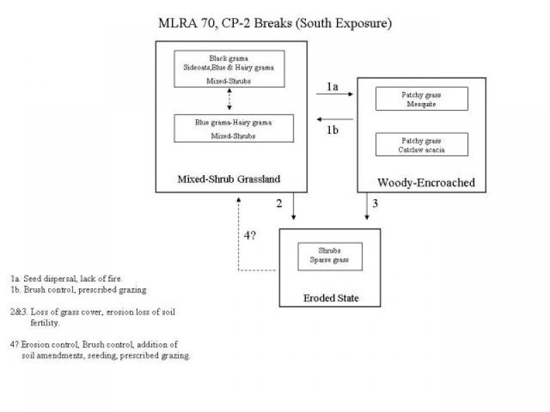 Model diagram