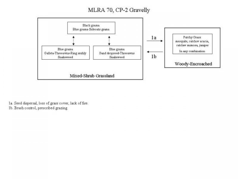 Model diagram