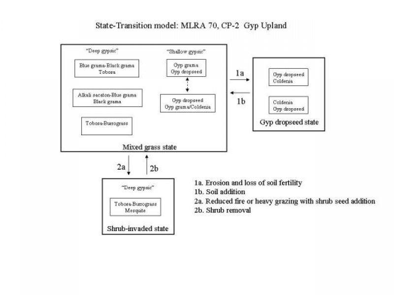 Model diagram