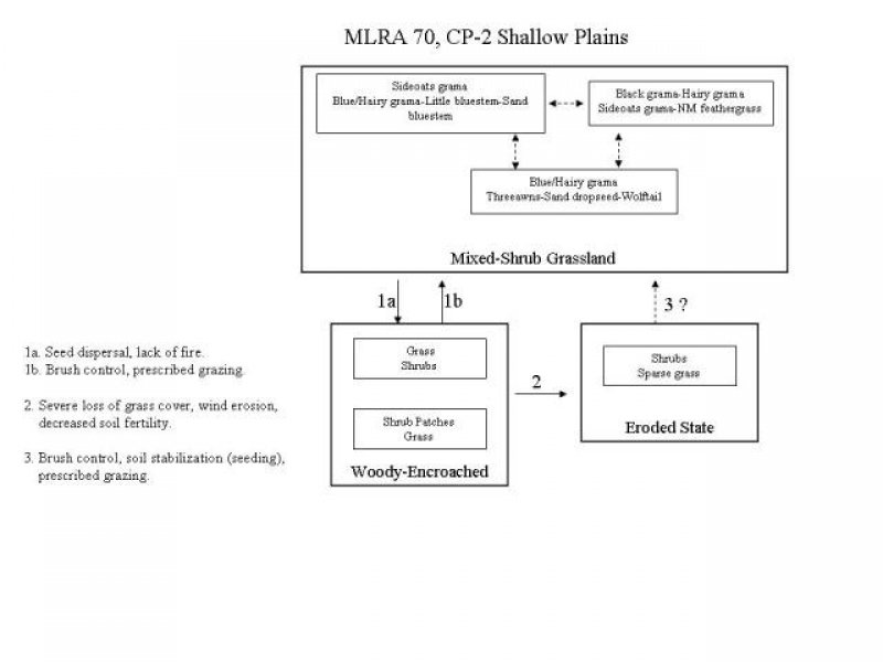 Model diagram