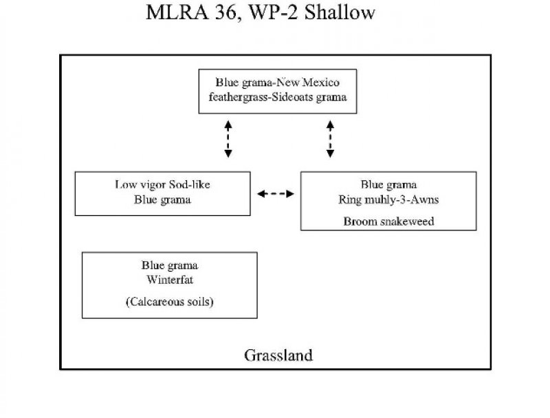 Model diagram