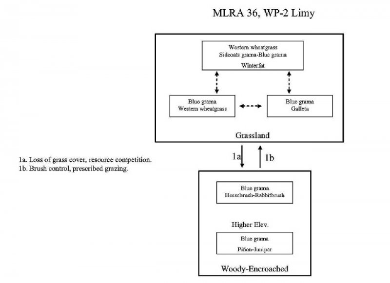 Model diagram