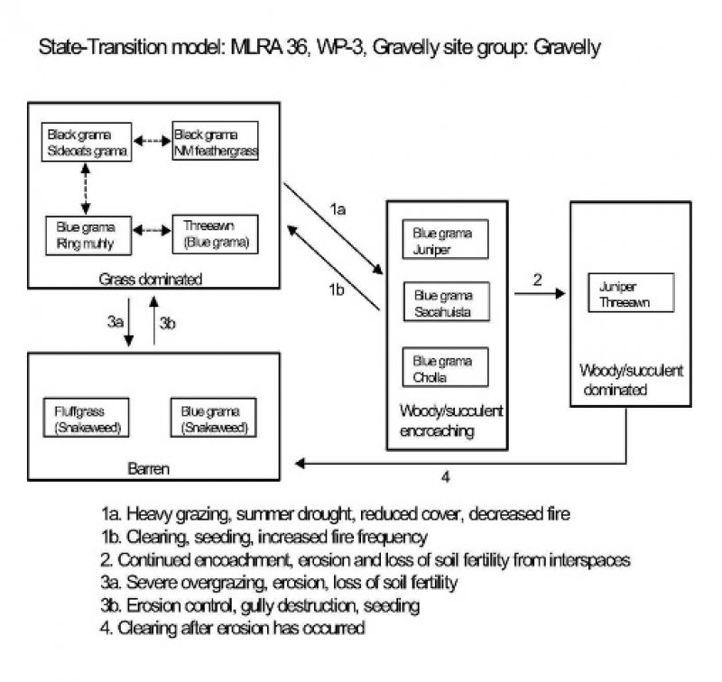 Model diagram