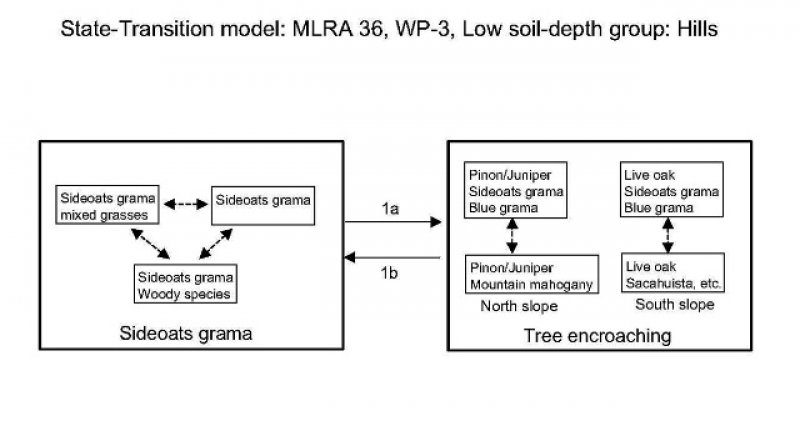 Model diagram
