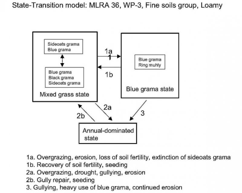 Model diagram