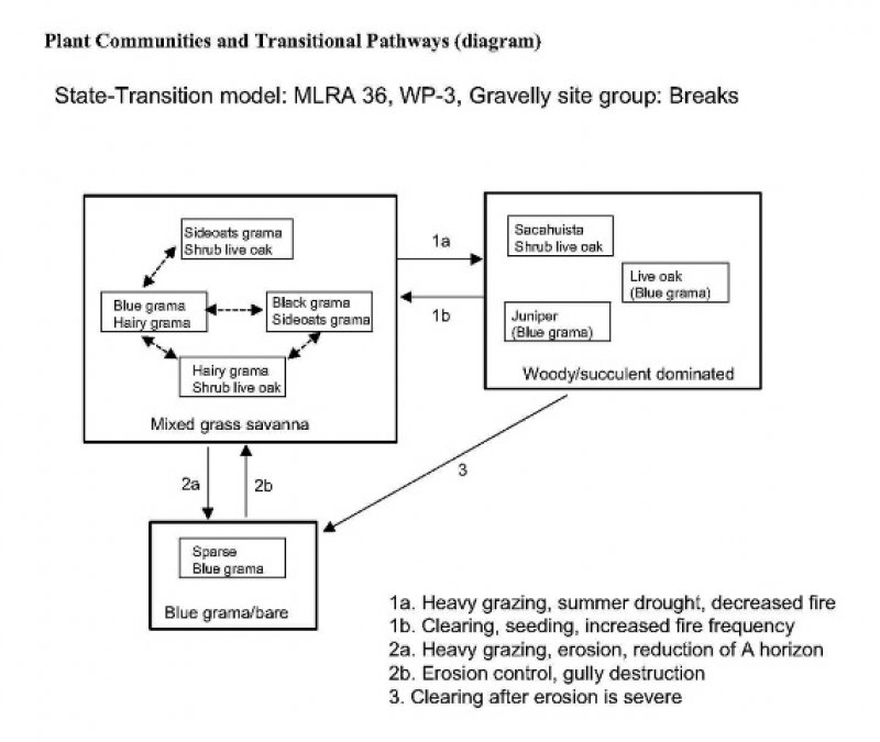 Model diagram