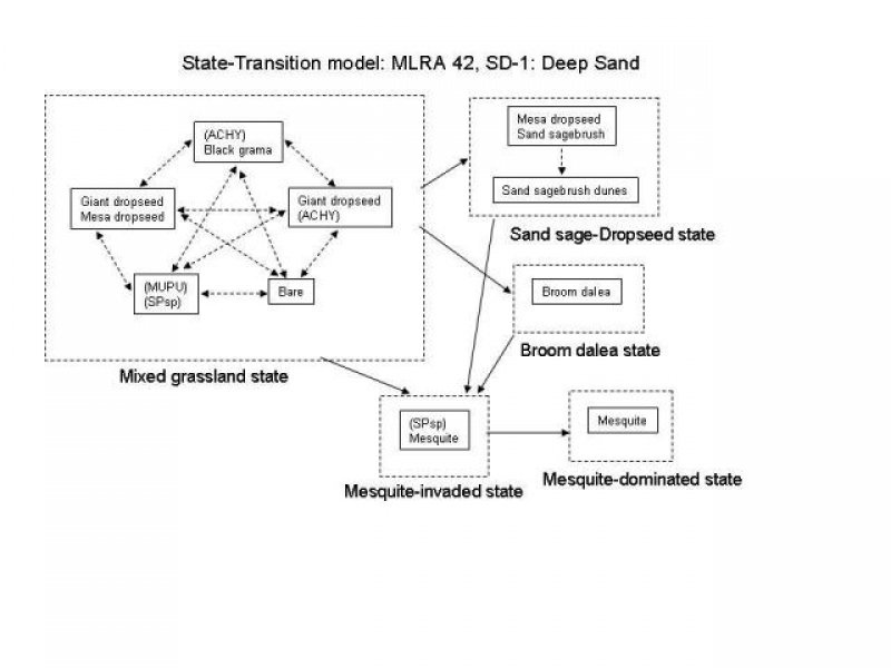 Model diagram