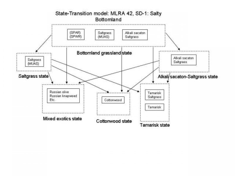 Model diagram