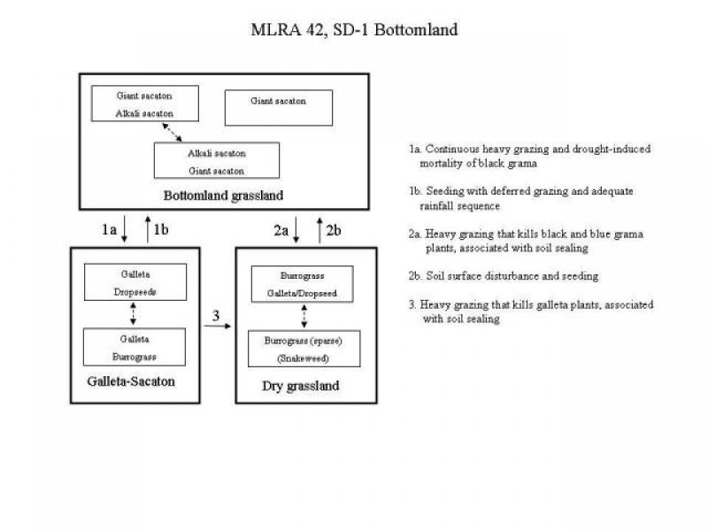 Model diagram