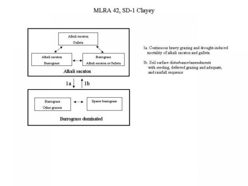 Model diagram