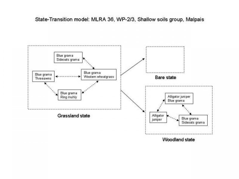 Model diagram