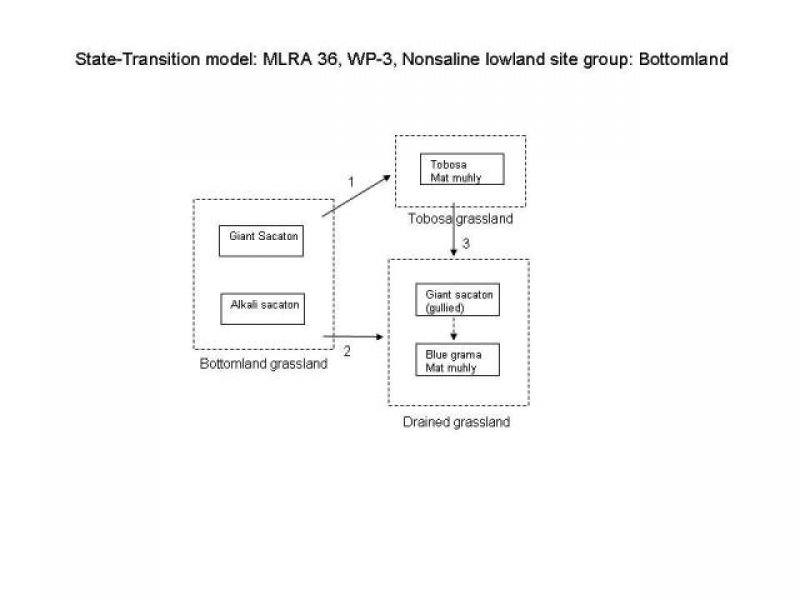 Model diagram