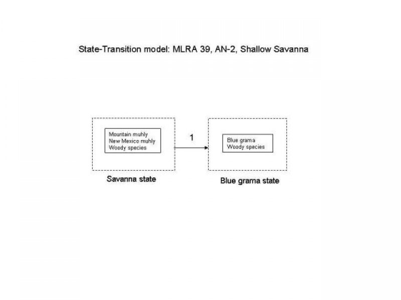 Model diagram