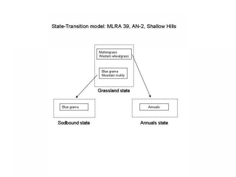 Model diagram