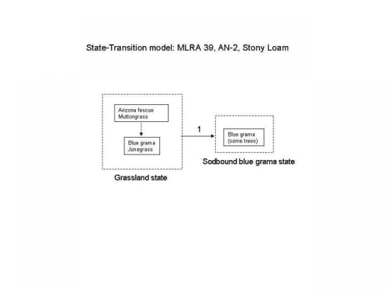 Model diagram