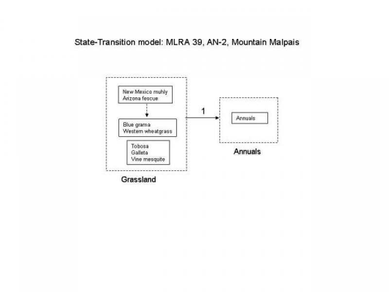 Model diagram