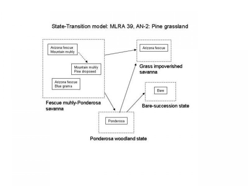 Model diagram
