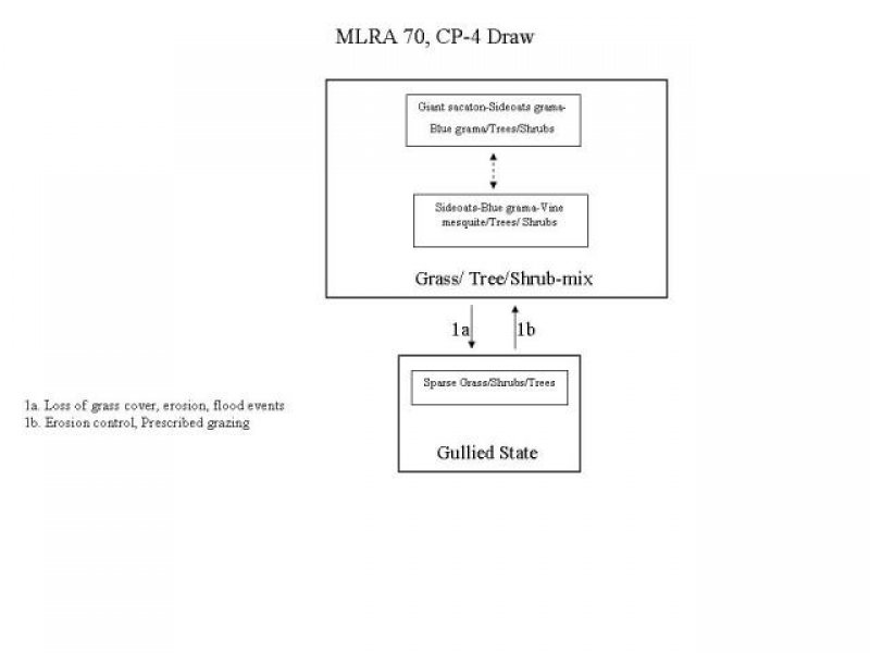 Model diagram
