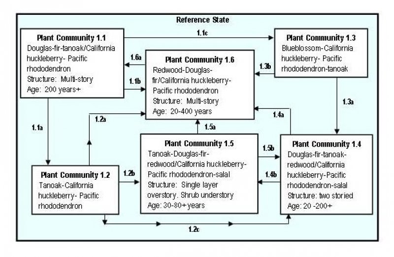 Model diagram