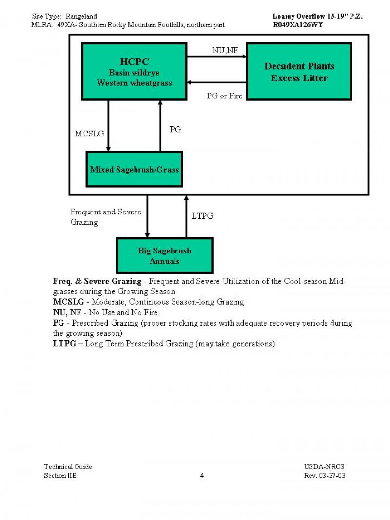 Model diagram