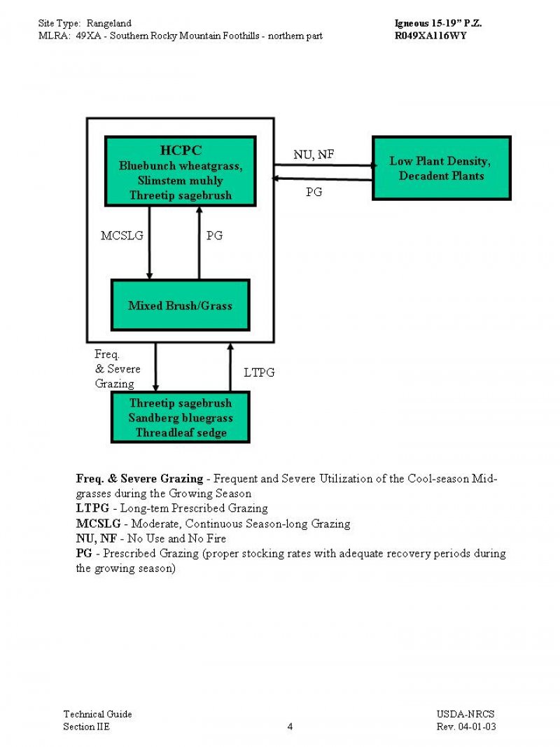 Model diagram