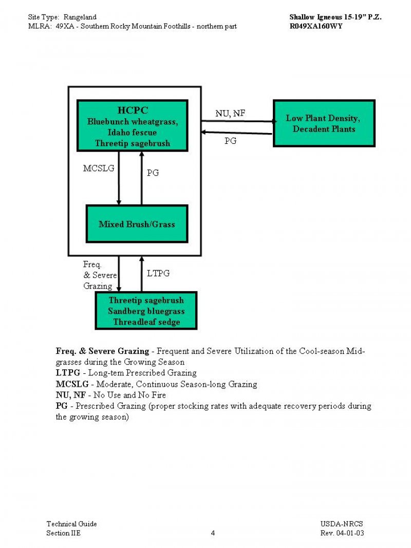 Model diagram