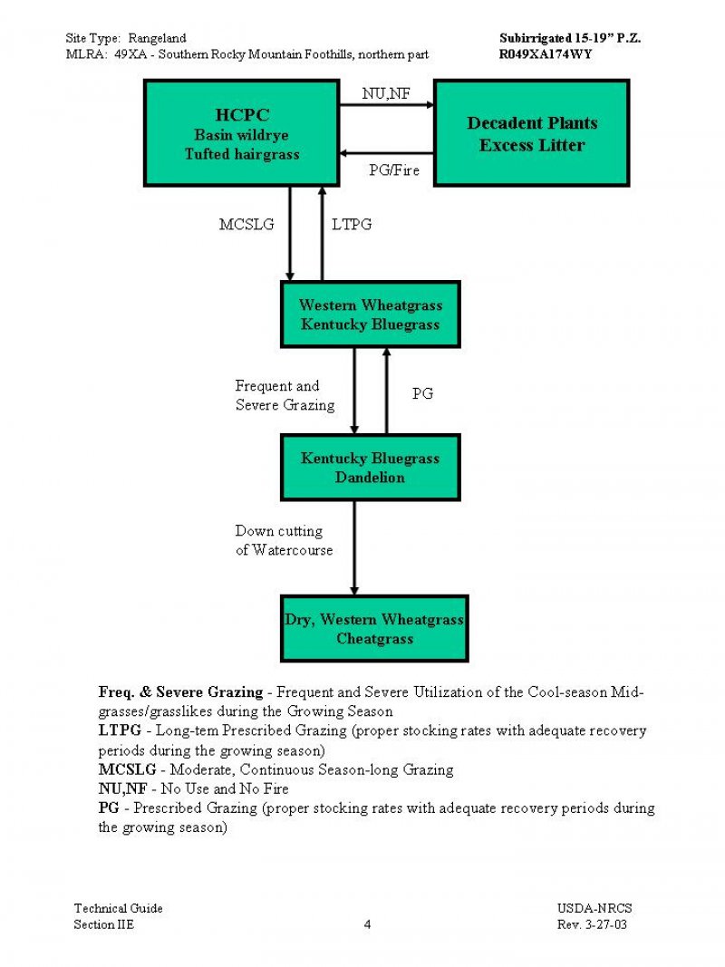 Model diagram