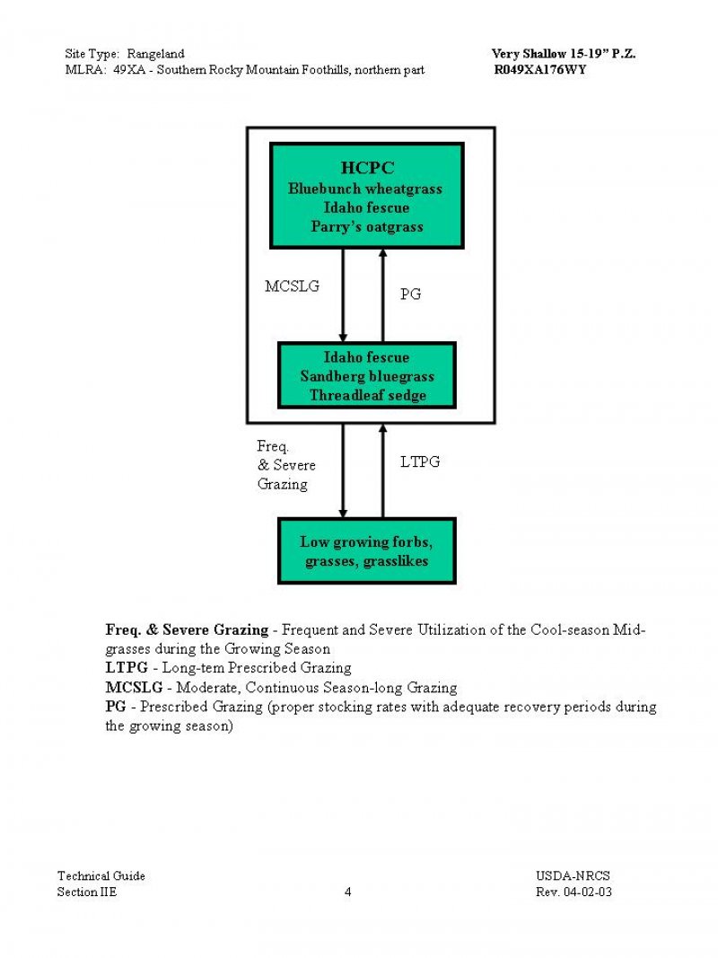 Model diagram