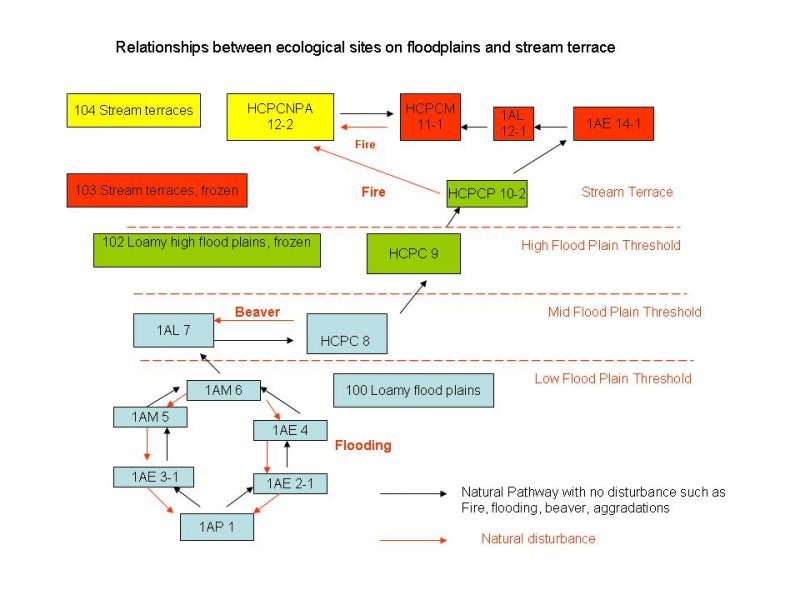 Model diagram
